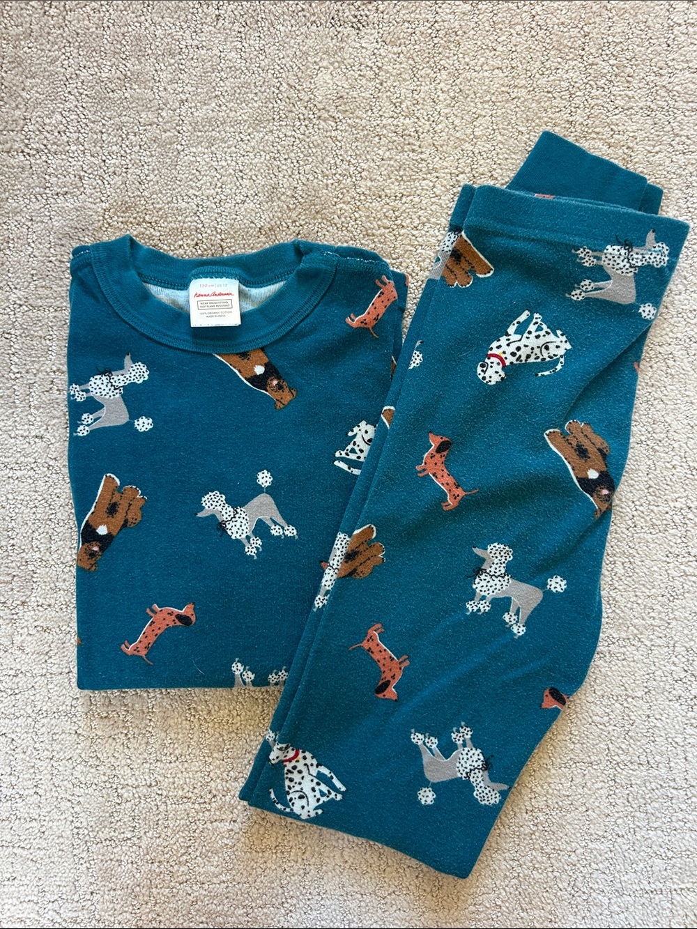 Hanna Andersson Teal Dog-Print Kids Pajama Set